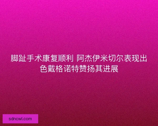 脚趾手术康复顺利 阿杰伊米切尔表现出色戴格诺特赞扬其进展