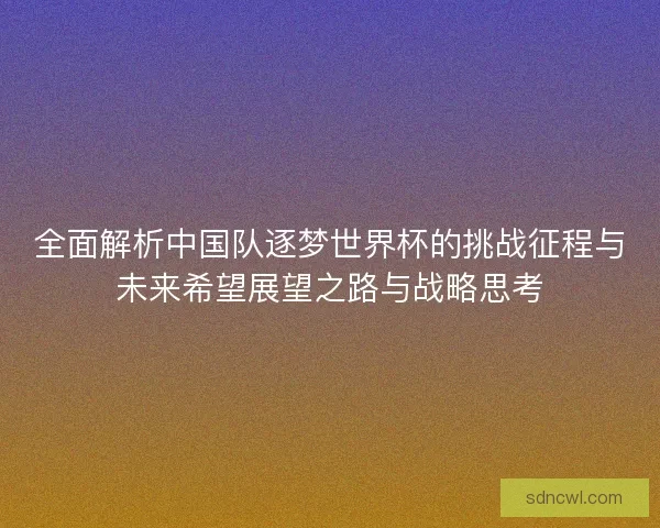全面解析中国队逐梦世界杯的挑战征程与未来希望展望之路与战略思考