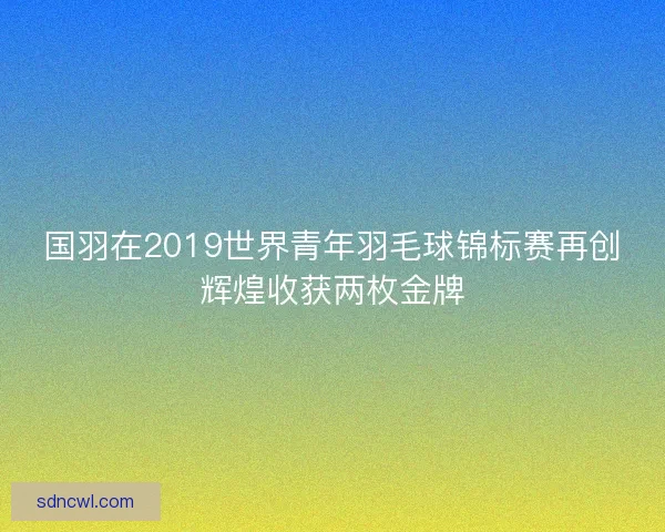 国羽在2019世界青年羽毛球锦标赛再创辉煌收获两枚金牌